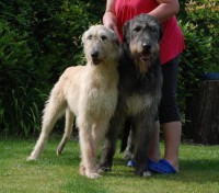 /album/fotogalerie-uvod/dsc-0574-2-jpg/